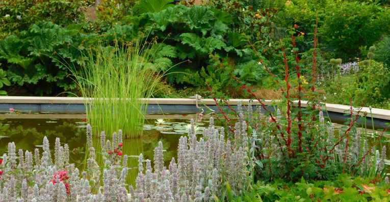 jardin penin.jpg